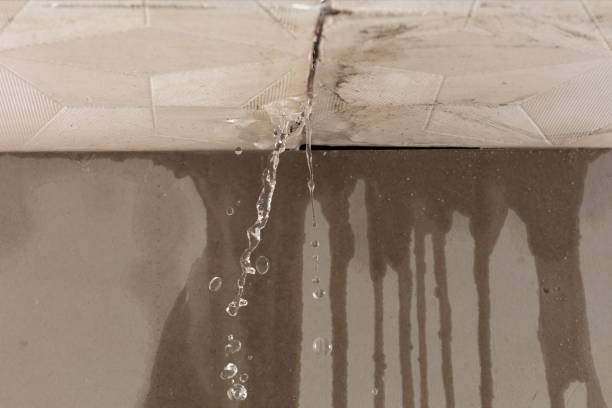 Professional Water Damage Repair technician working in Deersville, OH